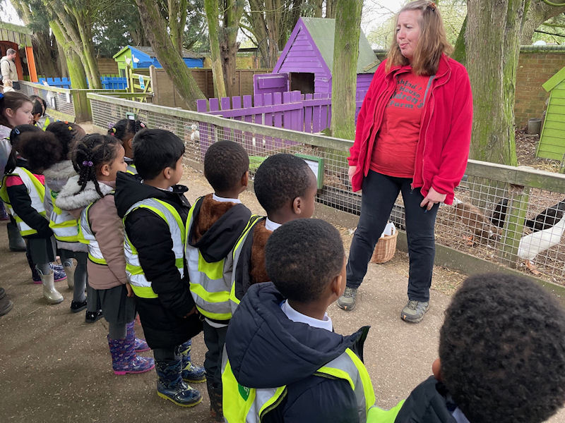 Reception visit Ash End Children’s Farm